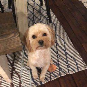 Meet your Posher, Stacey